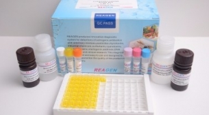 金黃色葡萄球菌恒溫核酸檢測試劑盒