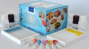 COVID-19 Neutralizing Antibody Rapid Test Kit